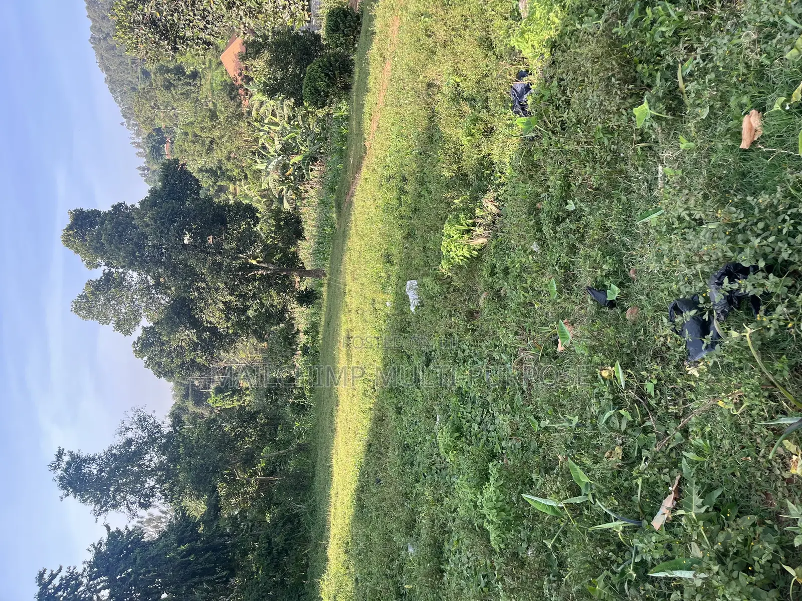 Land for Sale at Nalumunye - Katale