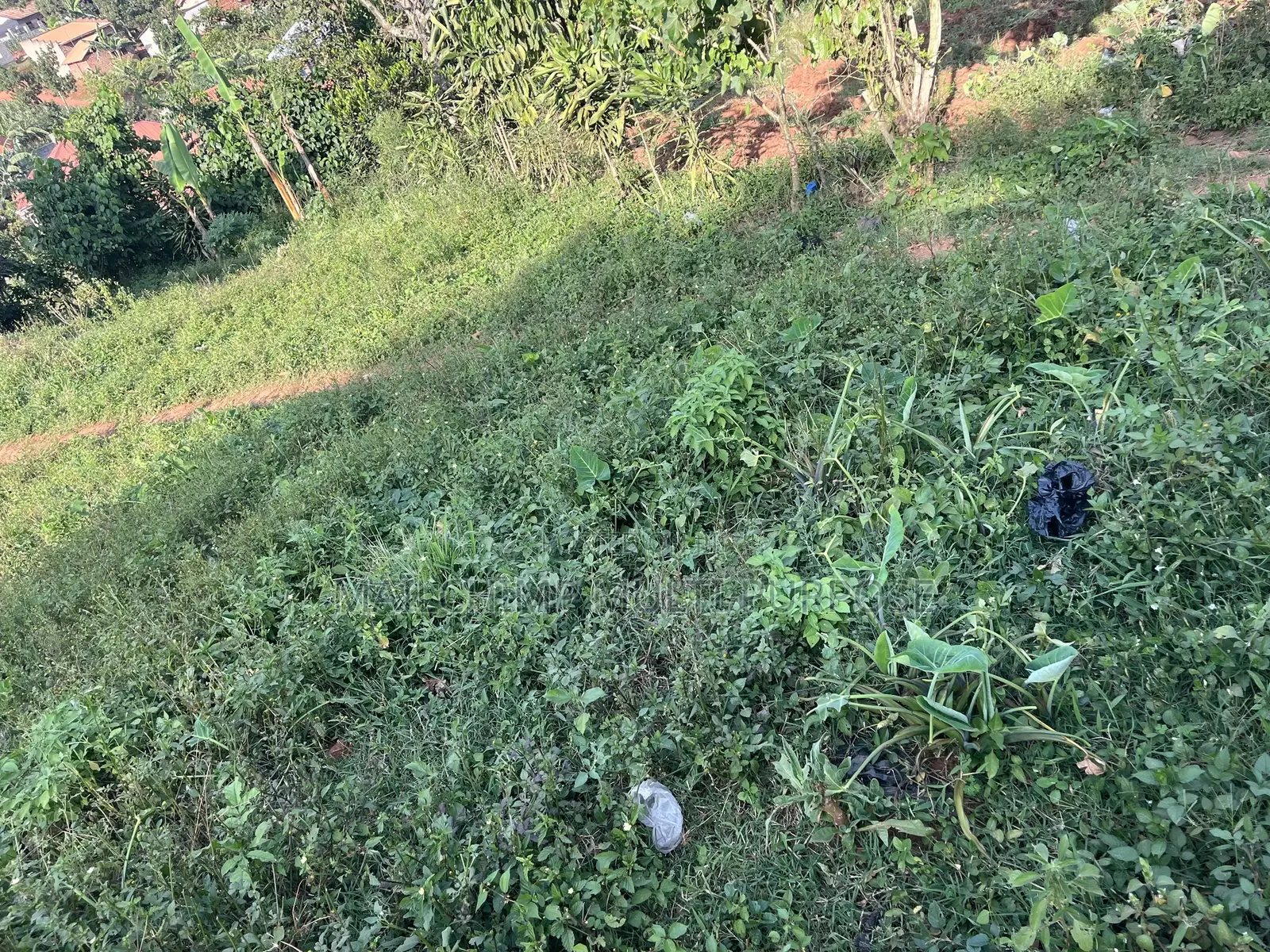 Land for Sale at Nalumunye - Katale