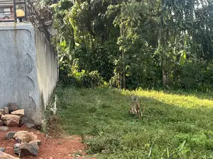 Land for Sale at Nalumunye - Katale