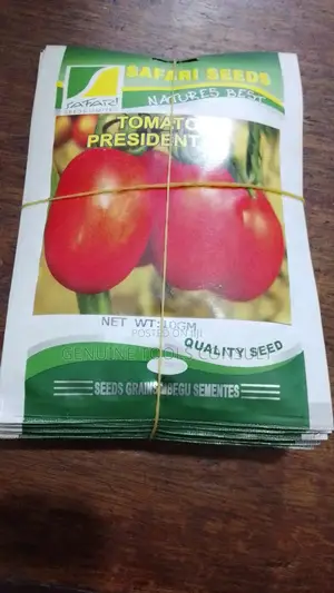 President F1 Tomato Seeds