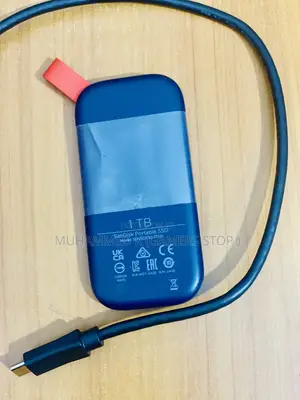 Sandisk (1tb)