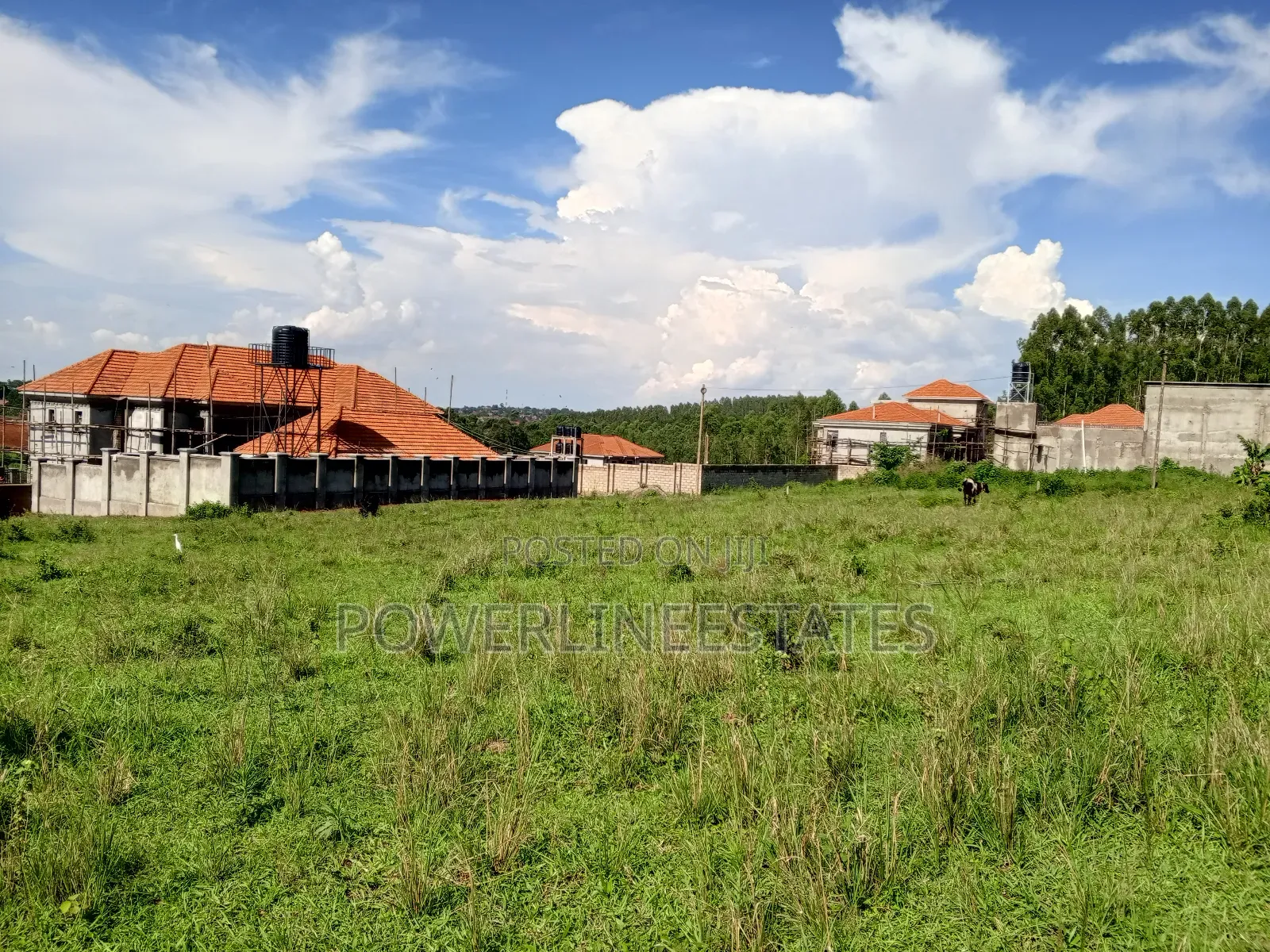 Gayaza-Makenke Estate Near Homesdaline Primary School