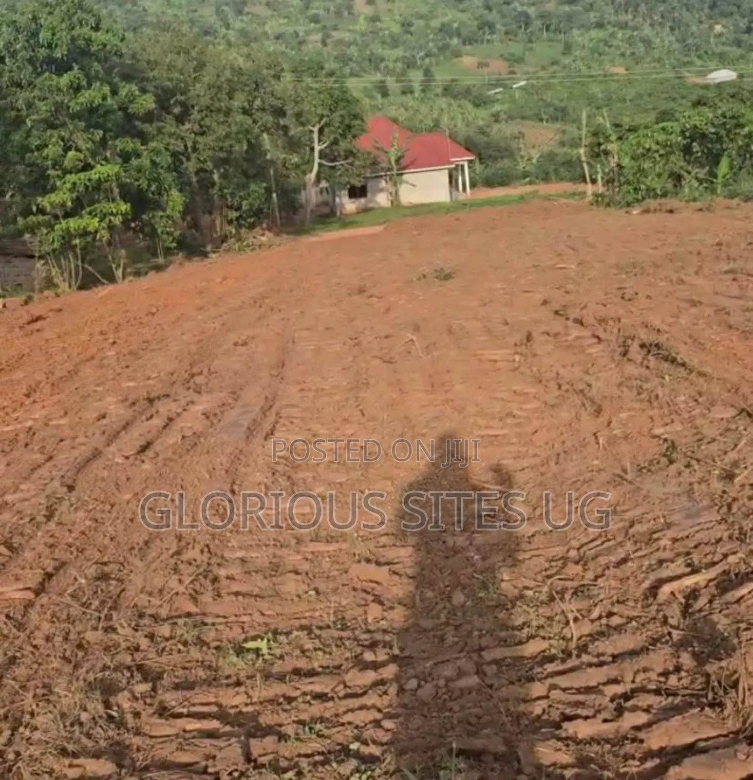 Plot in Kibibi