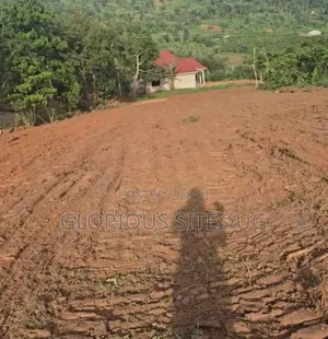 Plot in Kibibi