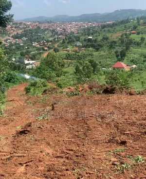 Plot in Kibibi