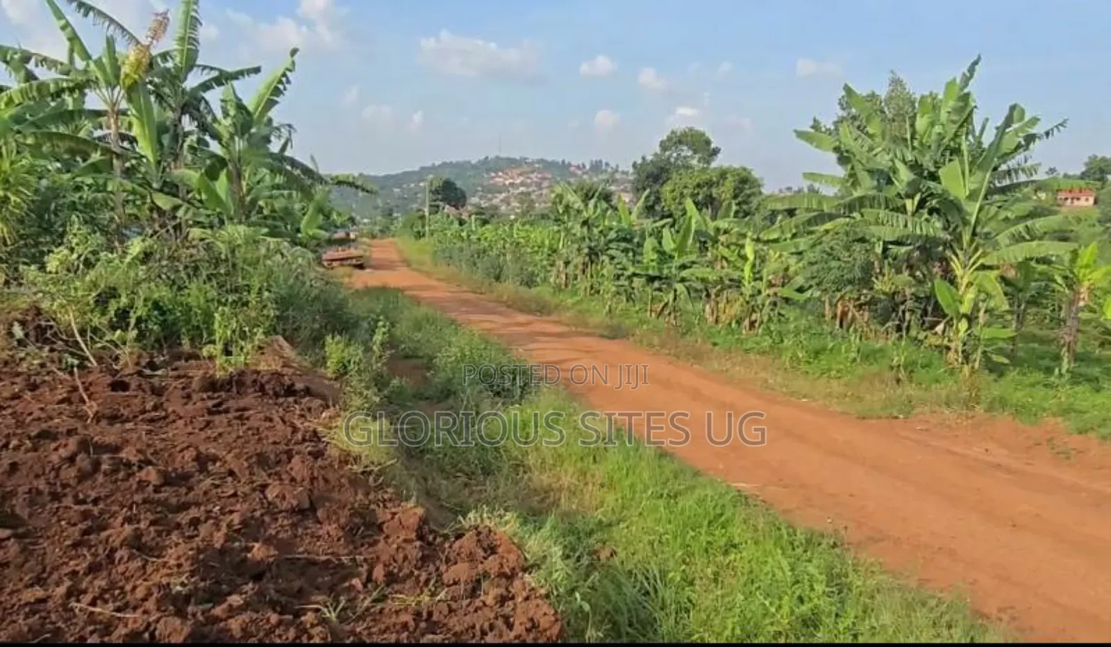 Plot in Kibibi