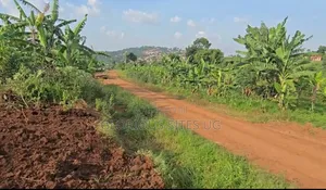 Plot in Kibibi
