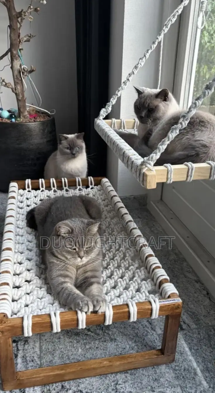 Macrame Patterns