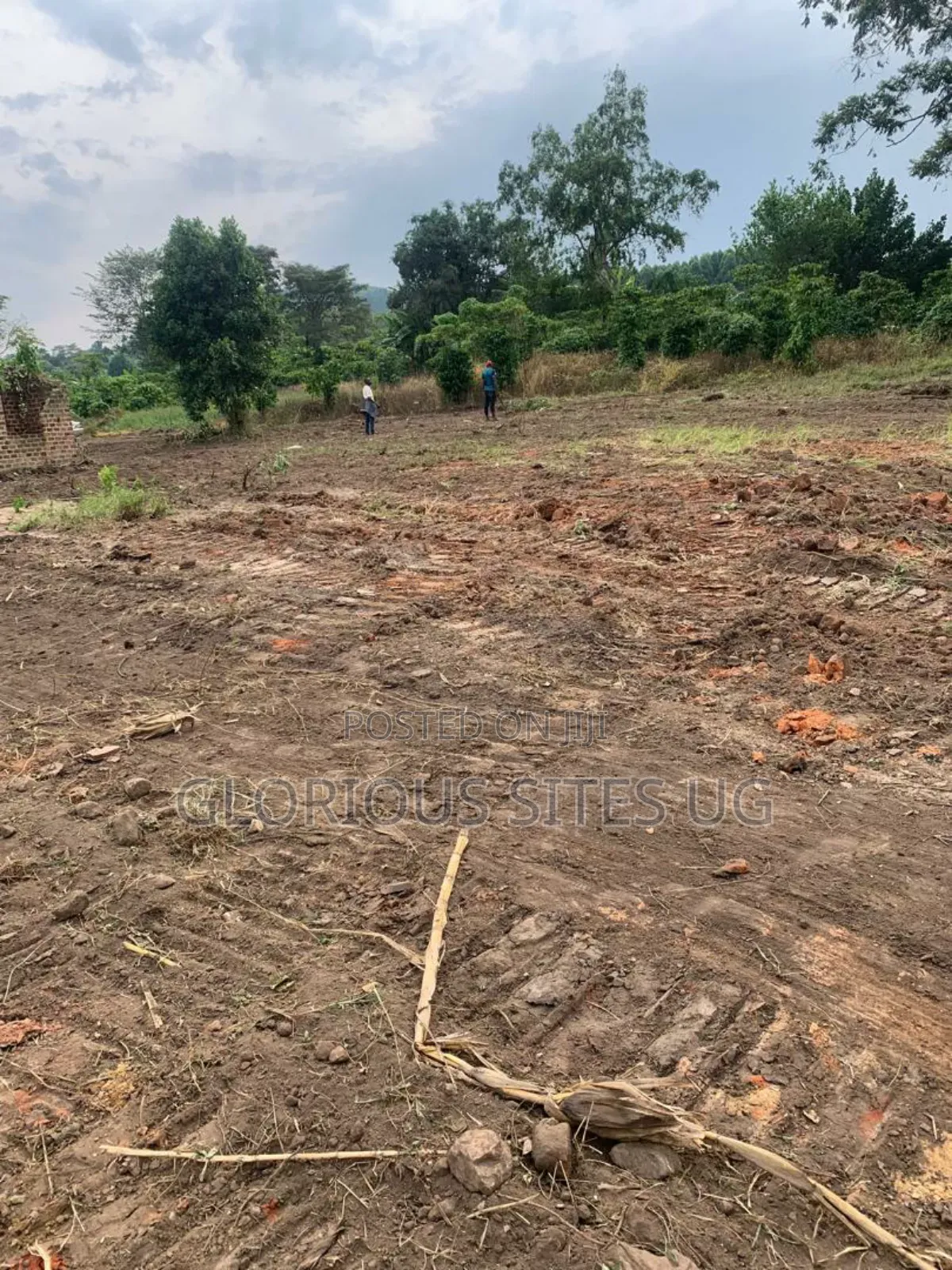 Plot for Sale in Wakiso Gobero Muzizi