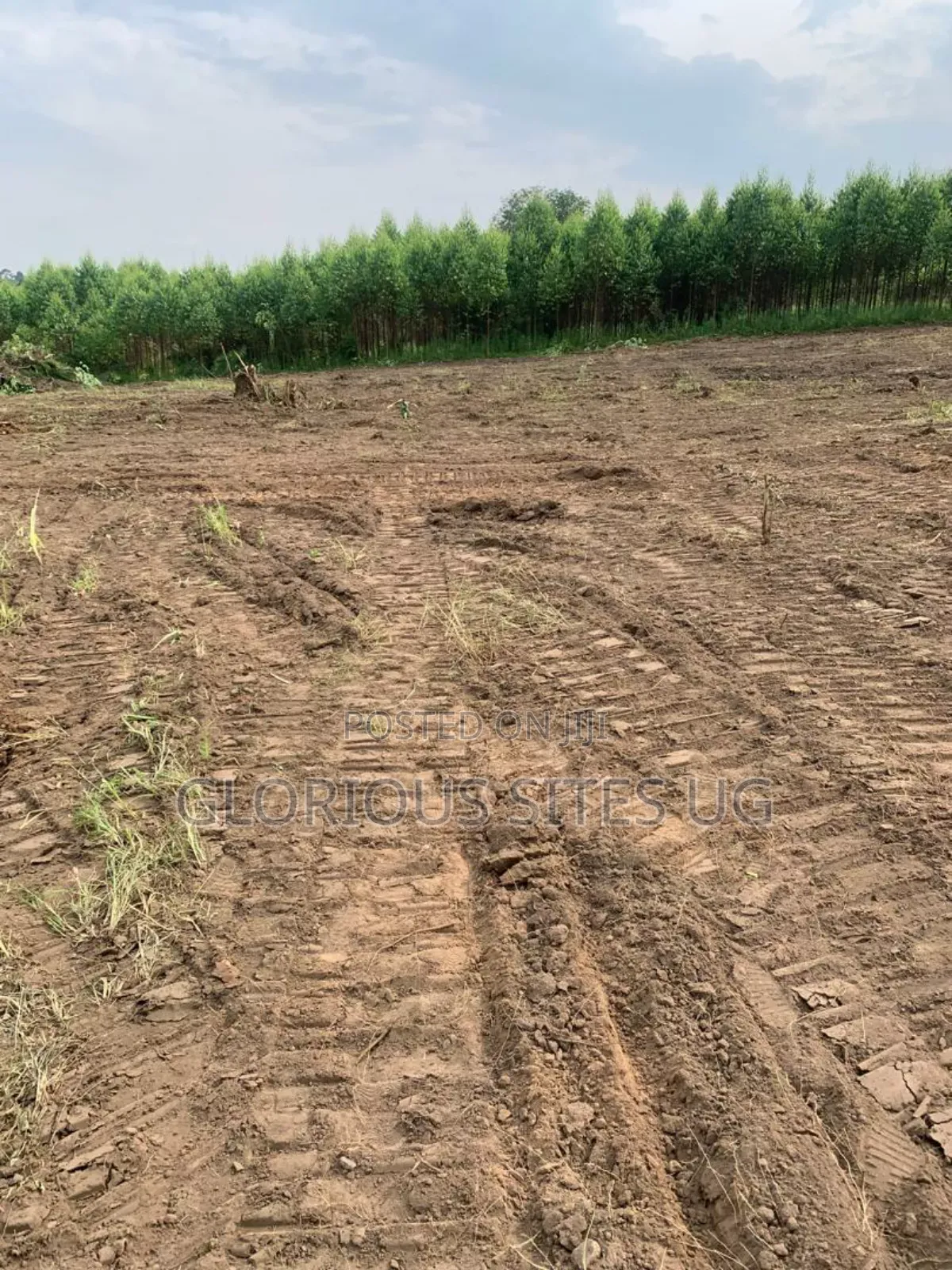 Plot for Sale in Wakiso Gobero Muzizi