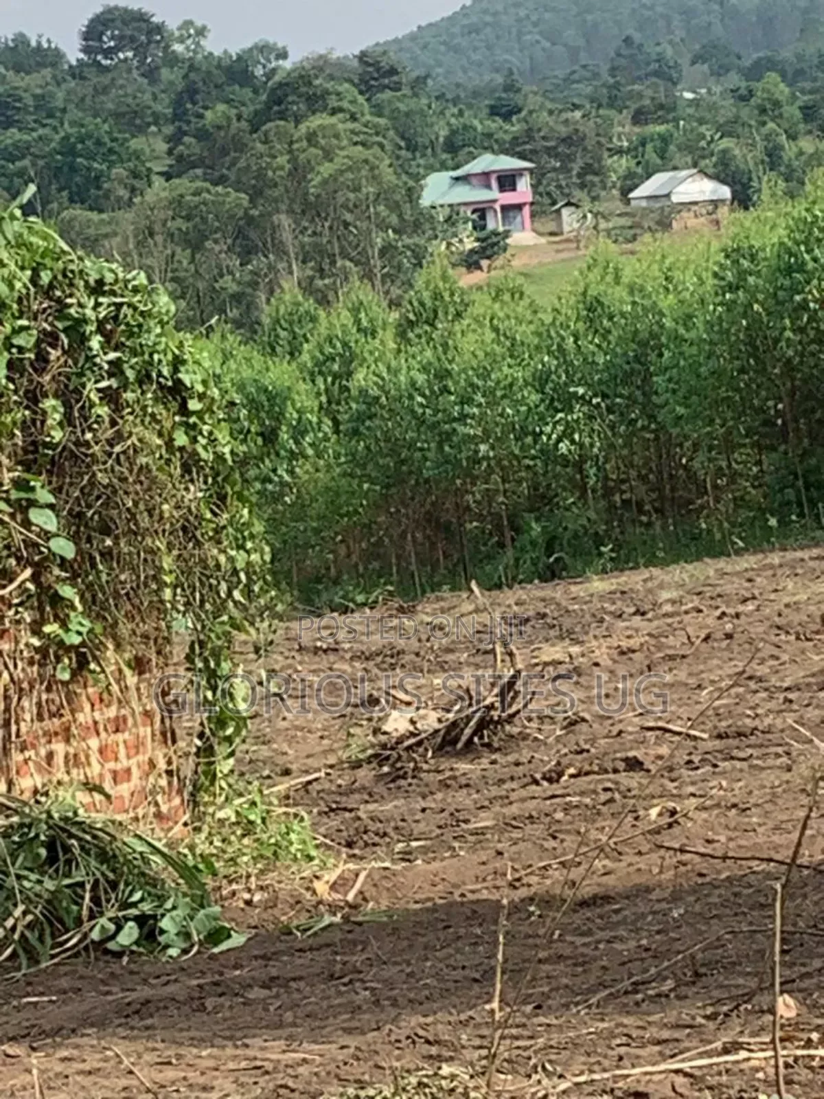 Plot for Sale in Wakiso Gobero Muzizi
