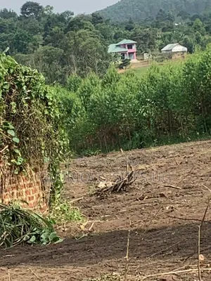 Plot for Sale in Wakiso Gobero Muzizi