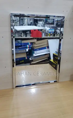 Stainless Framed Mirror(. 50 by 70cm)