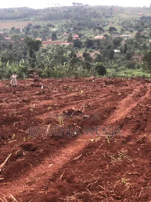 Plots for Sale in Mpigi