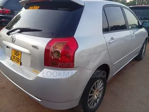 Toyota Allex 2007 Silver