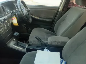Toyota Allex 2007 Silver