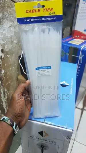 Nylon Cable Ties (100)