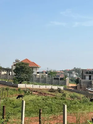 3 Acres of Land in Kira Bulindo Nsasa