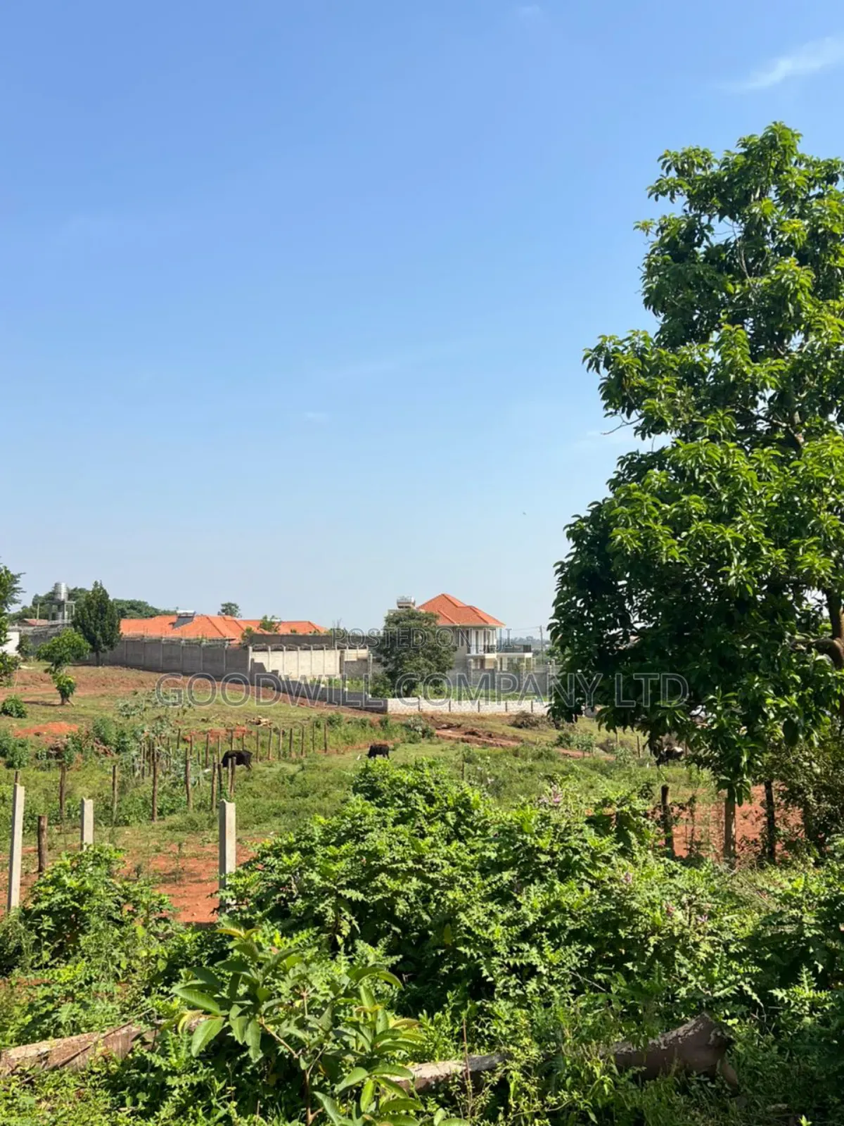 3 Acres of Land in Kira Bulindo Nsasa