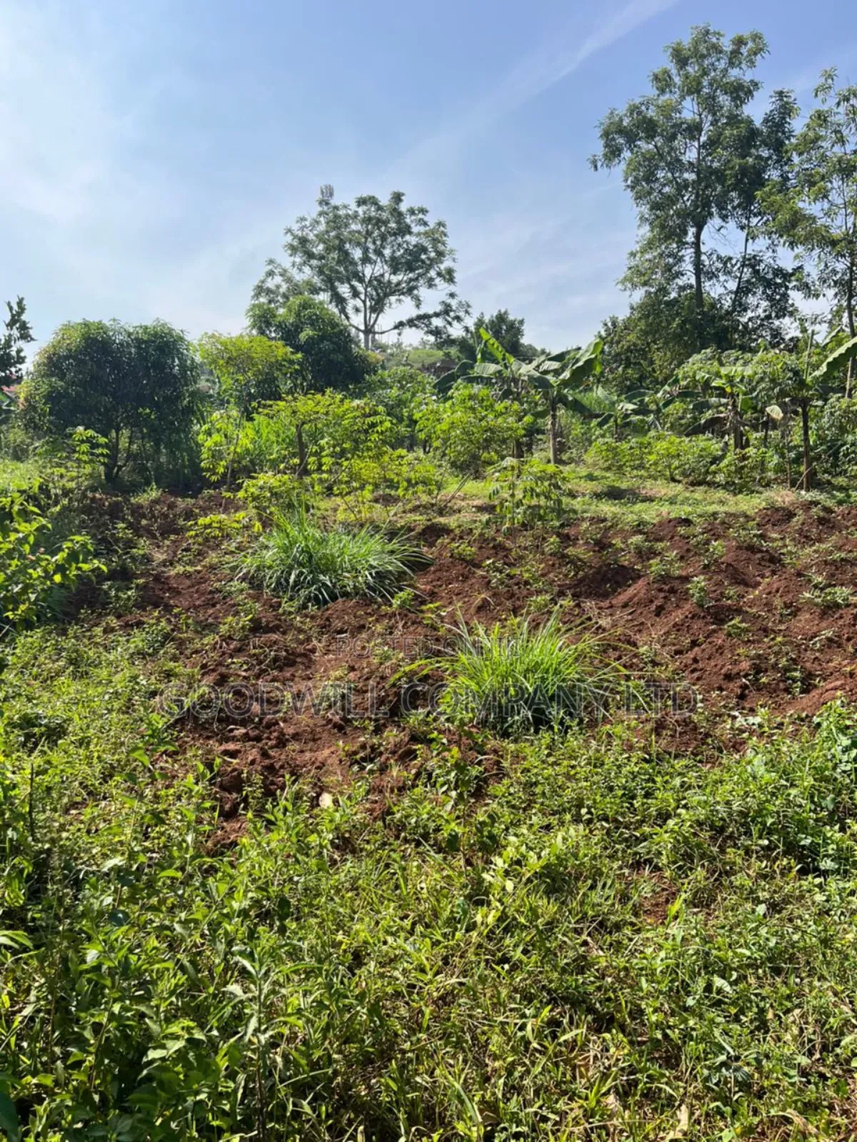 3 Acres of Land in Kira Bulindo Nsasa