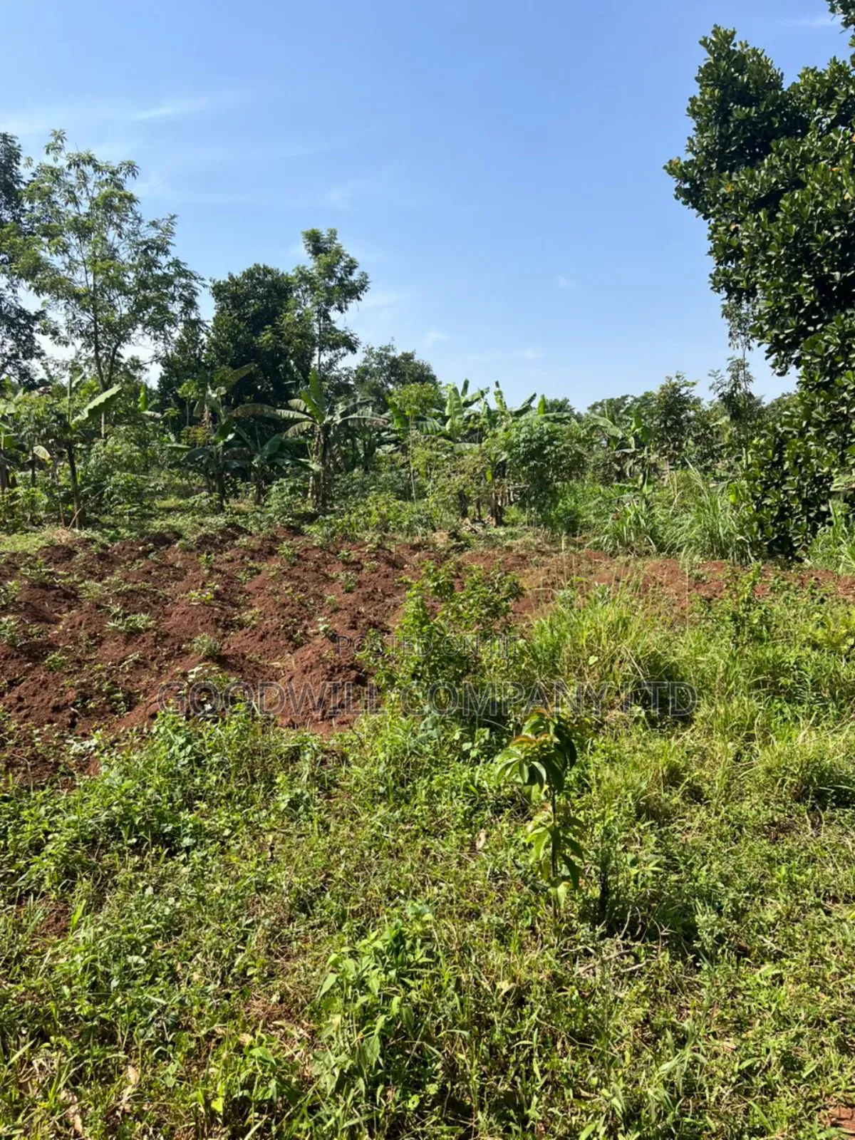 3 Acres of Land in Kira Bulindo Nsasa