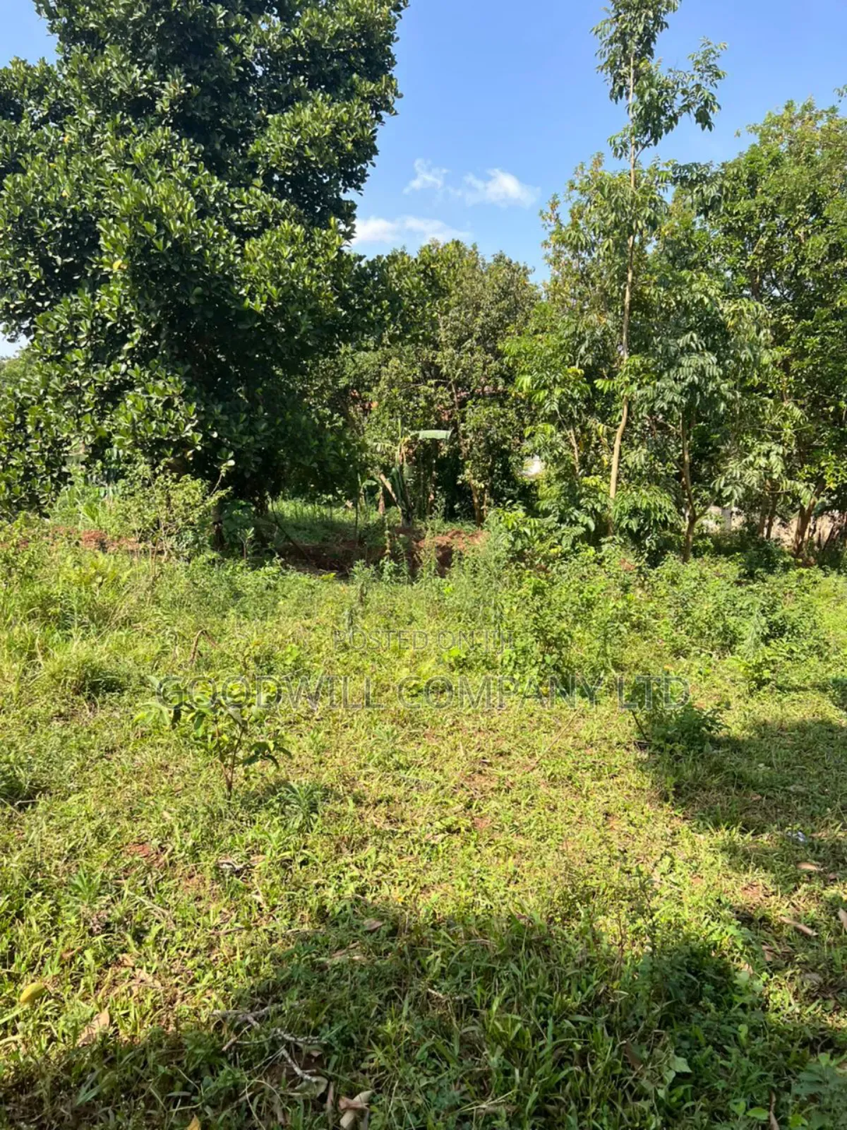 3 Acres of Land in Kira Bulindo Nsasa