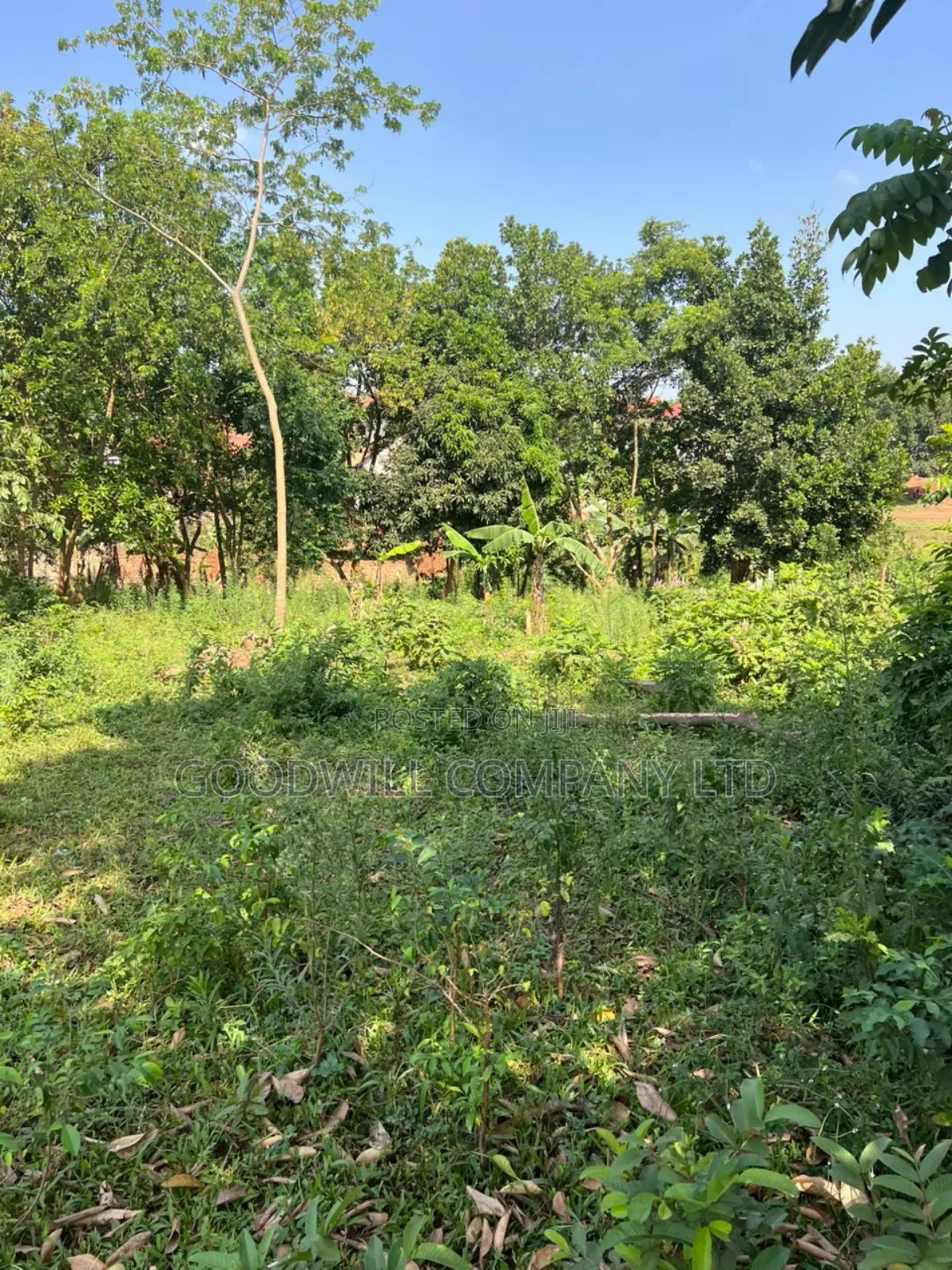 3 Acres of Land in Kira Bulindo Nsasa