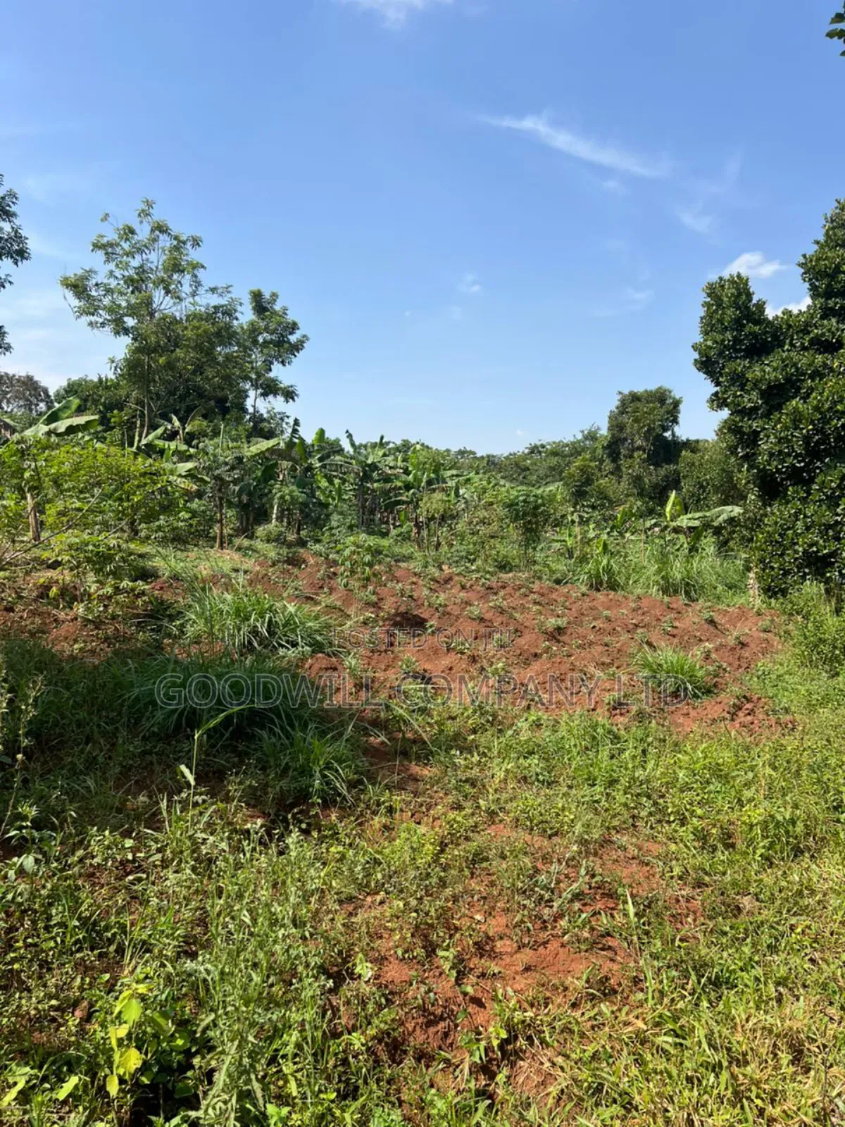 3 Acres of Land in Kira Bulindo Nsasa