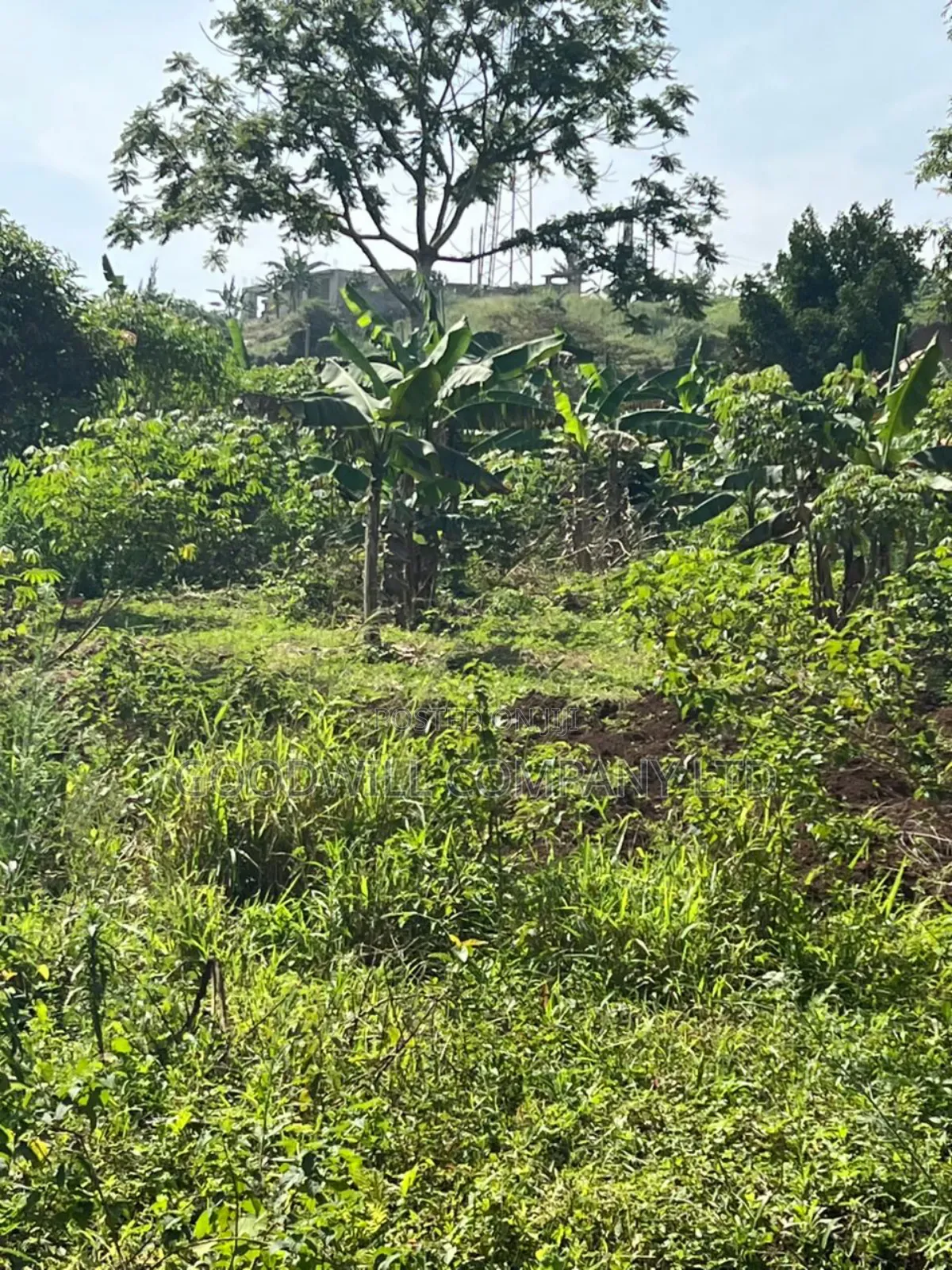 3 Acres of Land in Kira Bulindo Nsasa