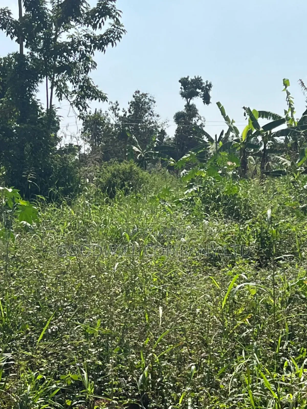 3 Acres of Land in Kira Bulindo Nsasa