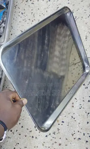 Stainless Tray