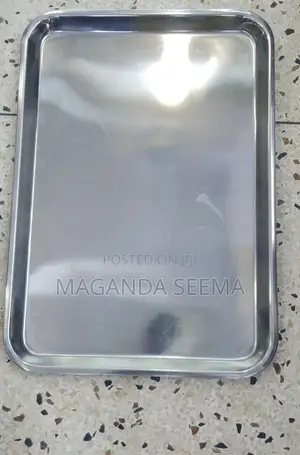 Stainless Tray