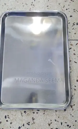 Stainless Tray