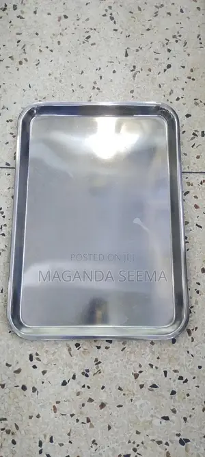 Stainless Tray
