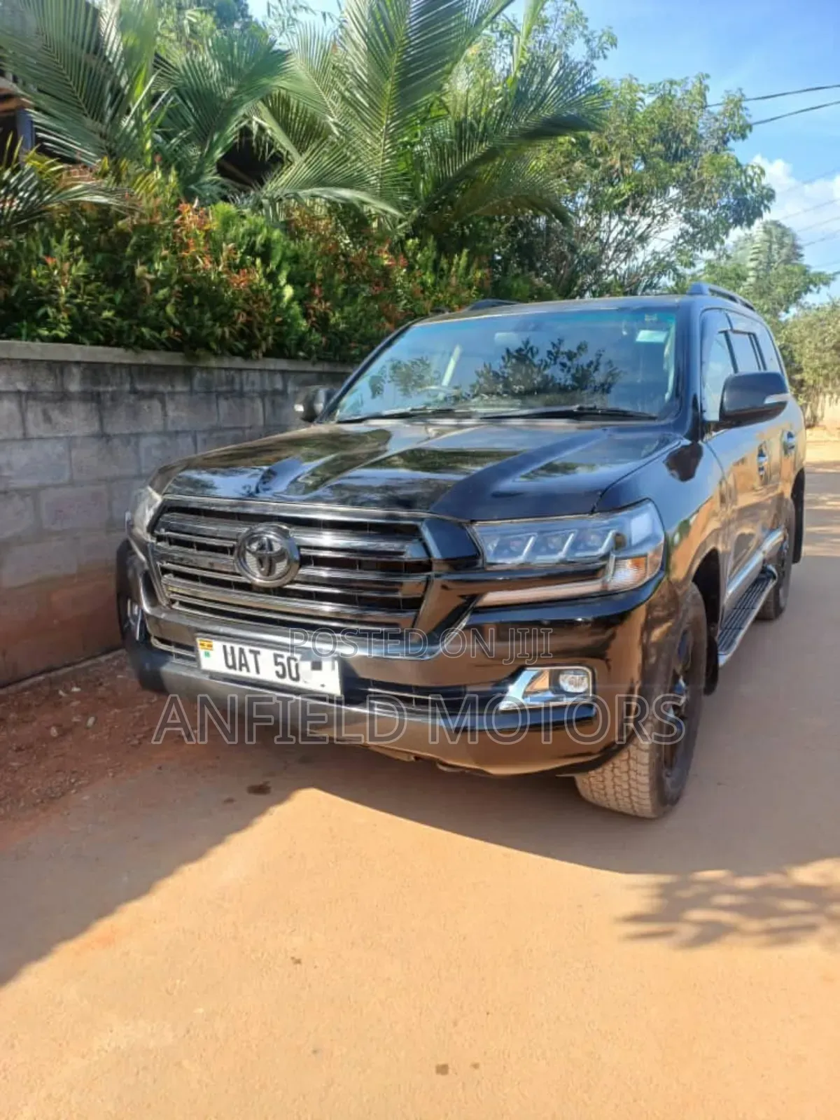 Self Drive Cars / Wedding Cars