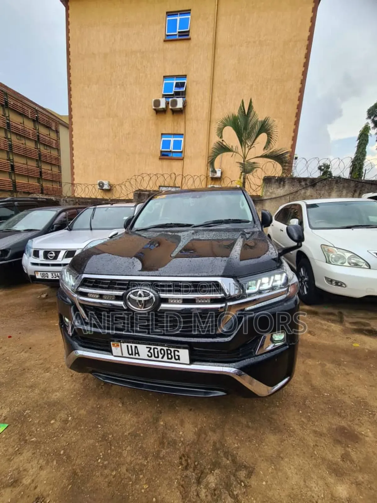 Self Drive Cars / Wedding Cars
