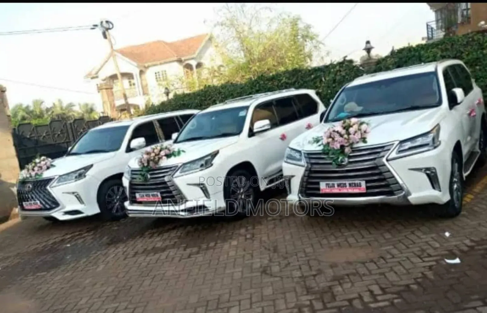 Self Drive Cars / Wedding Cars