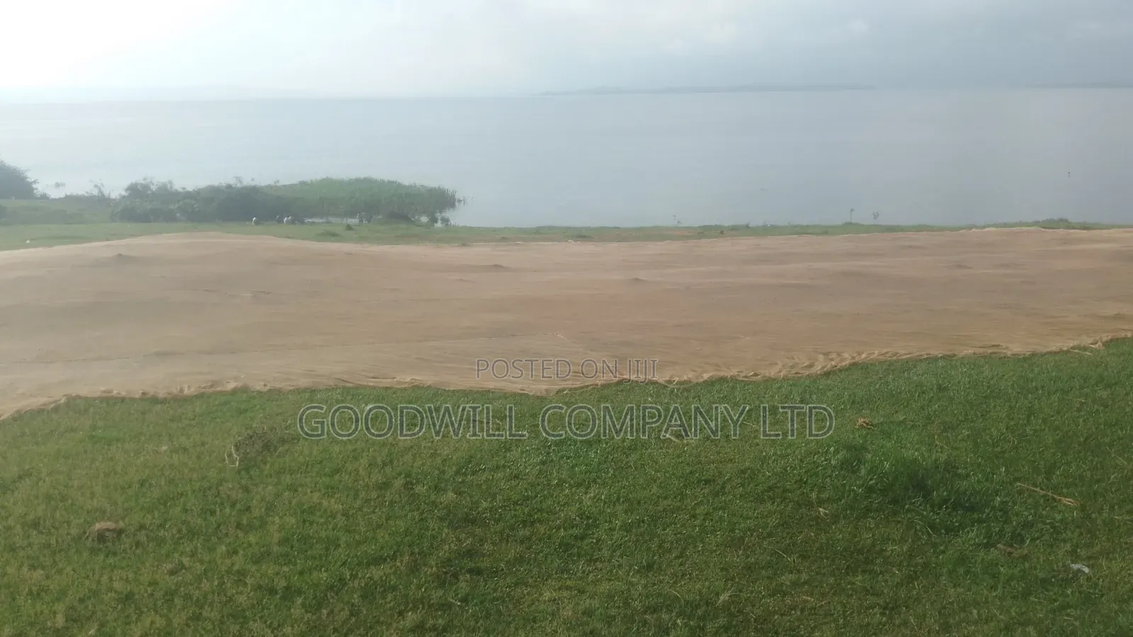 2 Acres of Beach Land in Kiyindi Nkokonjeru Touching on Lake Victoria