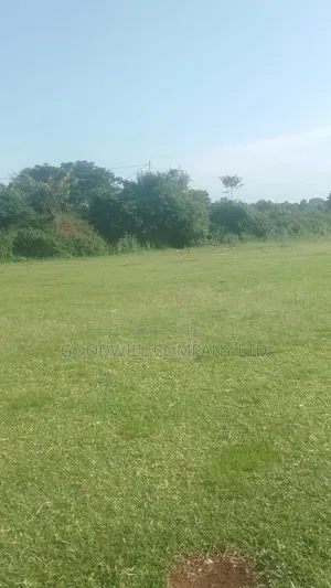 2 Acres of Beach Land in Kiyindi Nkokonjeru Touching on Lake Victoria
