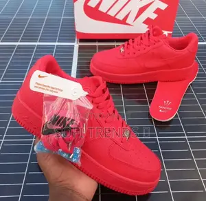 Original D G Sneakers