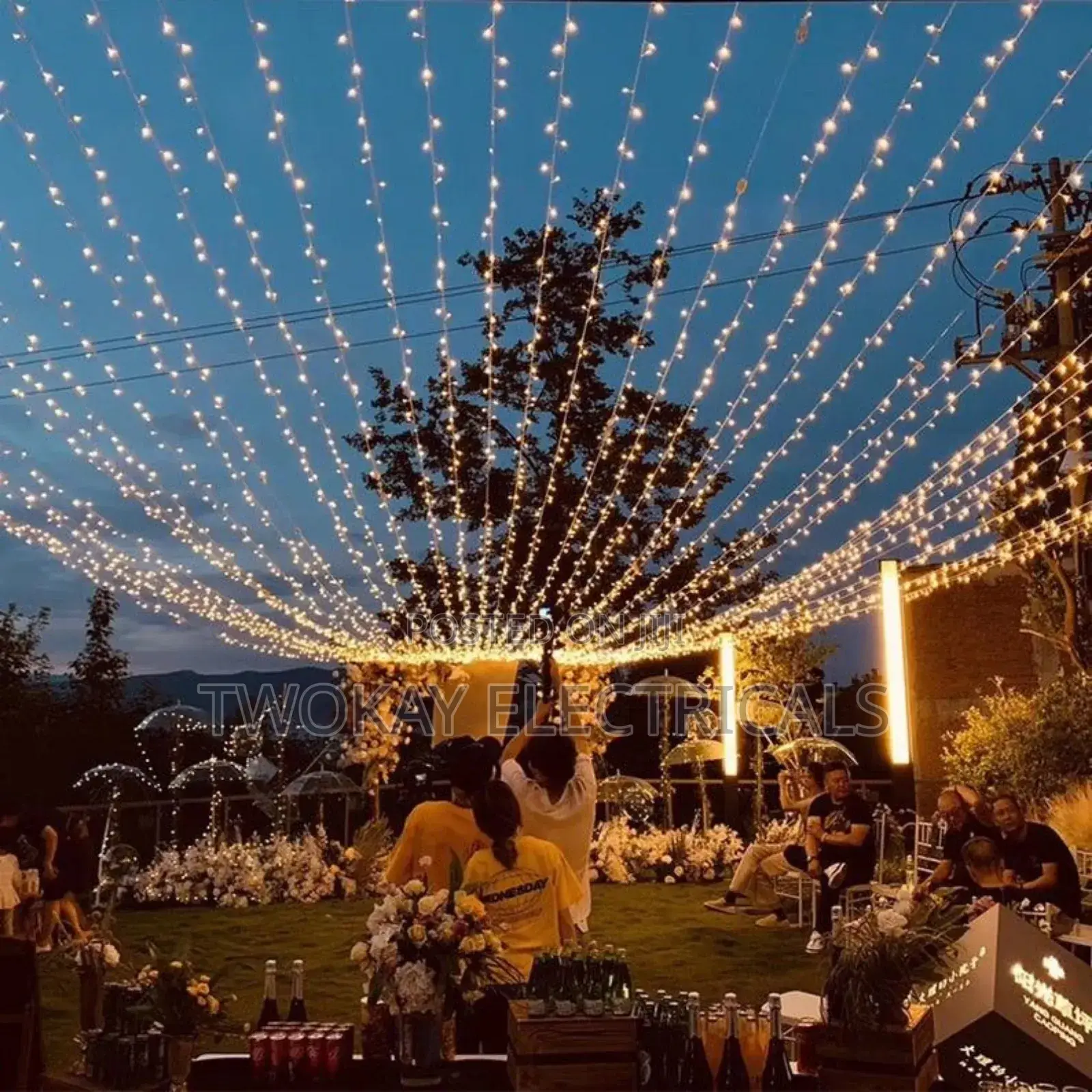 Christmas Decor Lights 50m