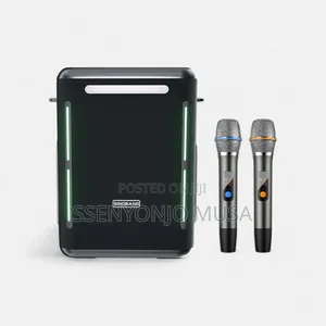 Sino-Band Party Portable Bt Speaker – 300w -24h- Playtime, Waterproof