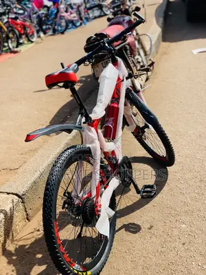 Super Speed Bike /8gears Behind /3gears Infront /Bicycle