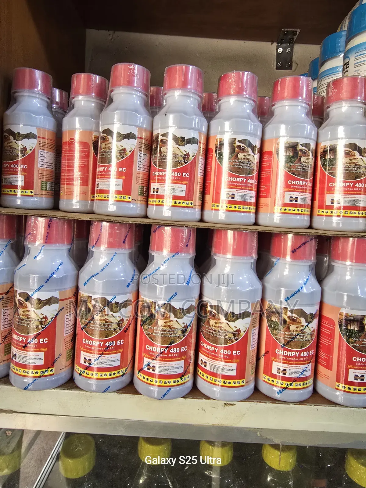 Bedbugs and Cockroaches Insecticide