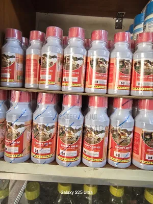 Bedbugs and Cockroaches Insecticide