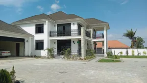 Expert Landscaping Services Styling Your Compound to Perfection