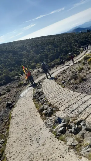 Mt Kilimanjaro Hiking Tour