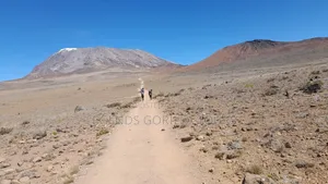 Mt Kilimanjaro Hiking Tour