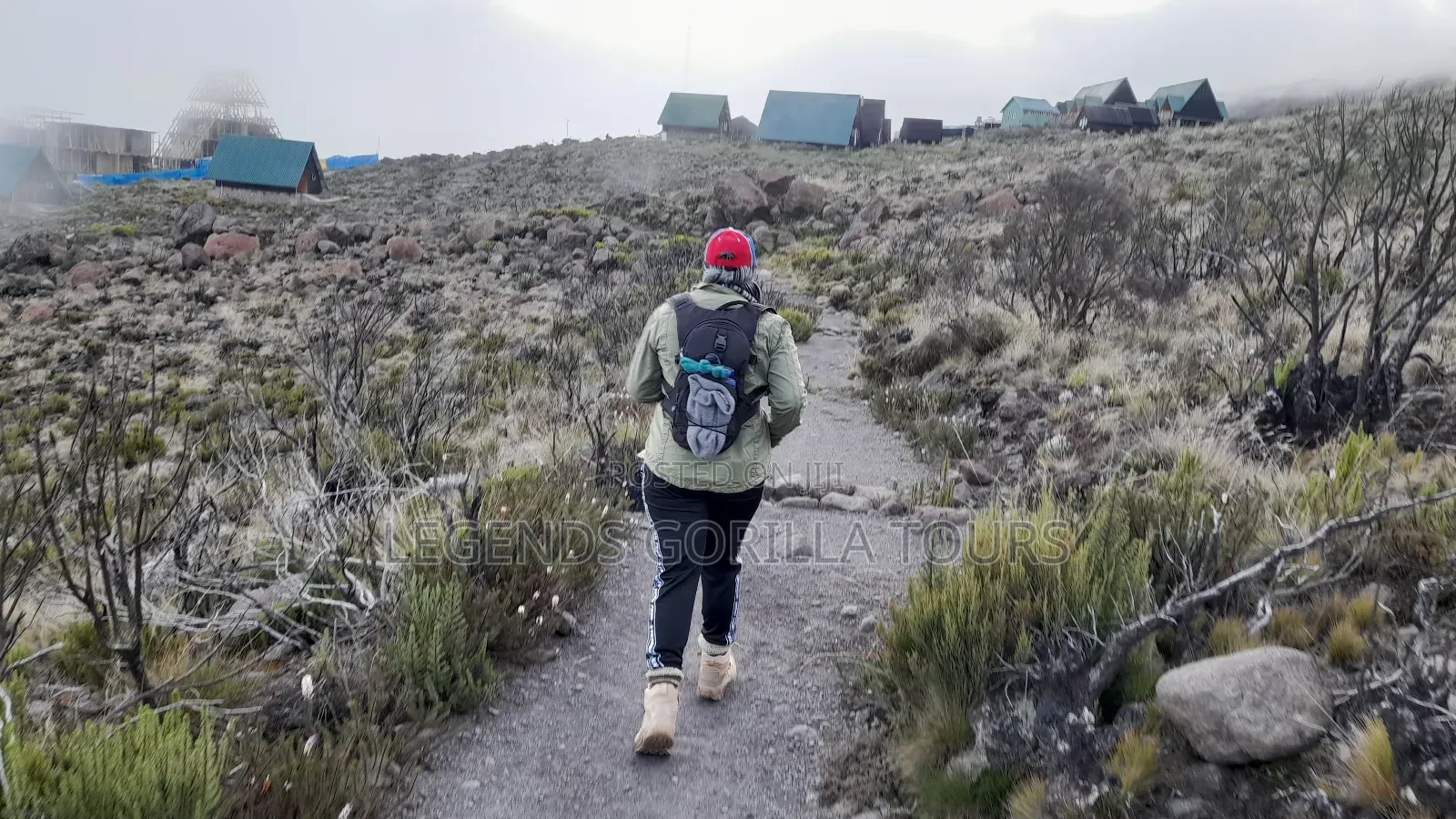 Mt Kilimanjaro Hiking Tour