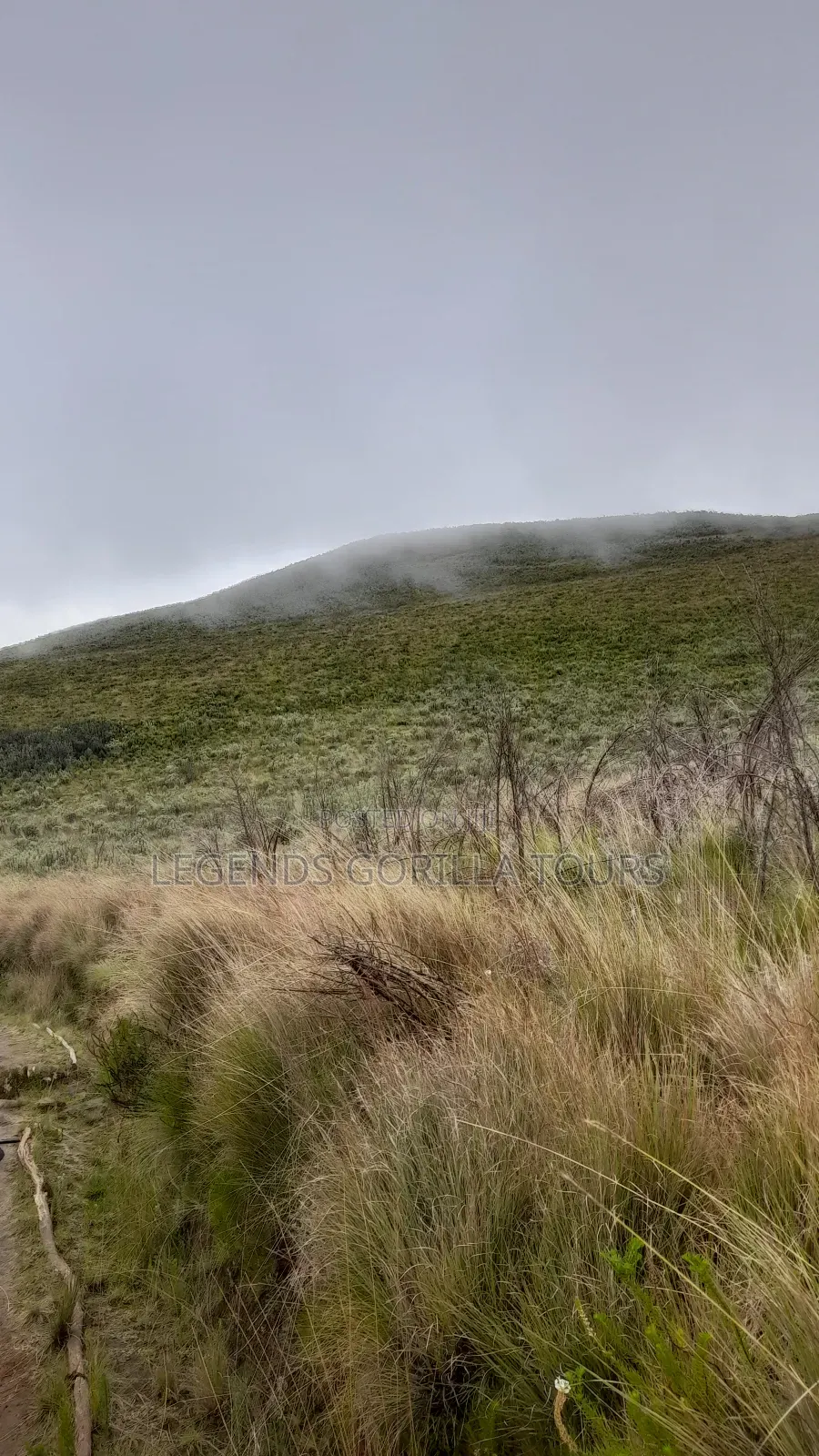 Mt Kilimanjaro Hiking Tour